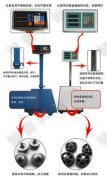 不锈钢鲸鱼传媒在线观看入口IOS品牌